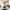 2 Evans Gardens, Bonnyrigg, EH19 3QQ - Image 5
