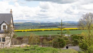 Plot East of Stichill Mains, Kelso
