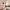 11 Parkhead Loan, Edinburgh, EH11 4SJ - Image 5