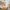 1B/9 Grassmarket, Edinburgh, EH1 2HY - Image 7