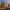 1/5 Appin Street