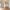 17 3F3 Springvalley Gardens, Edinburgh, EH10 4QF - Image 6