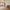 17 3F3 Springvalley Gardens, Edinburgh, EH10 4QF - Image 4