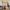 17 3F3 Springvalley Gardens, Edinburgh, EH10 4QF - Image 2