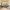 17 3F3 Springvalley Gardens, Edinburgh, EH10 4QF - Image 3