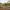 1/4 Balgreen Gardens, Edinburgh, EH12 5UG - Image 6