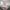 1/4 Balgreen Gardens, Edinburgh, EH12 5UG - Image 4