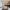 68 Gogarloch Road, Edinburgh, EH12 9JA - Image 5