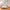 16 Craighouse Terrace, Edinburgh, EH10 5LJ - Image 5