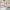 16 Craighouse Terrace, Edinburgh, EH10 5LJ - Image 6