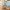 18/6 Montpelier Terrace, Edinburgh, EH10 4NF - Image 7