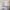 2 1F1 Roseneath Terrace, Edinburgh, EH9 1JN - Image 4