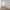 2 1F1 Roseneath Terrace, Edinburgh, EH9 1JN - Image 6