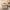 10/1 Granville Terrace, Edinburgh, EH10 4PQ - Image 6