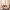10/1 Granville Terrace, Edinburgh, EH10 4PQ - Image 3