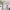 5 Tobias Street, Edinburgh, EH16 4WG - Image 6