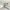 5 Tobias Street, Edinburgh, EH16 4WG - Image 4