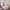 7 Craigleith Drive, Edinburgh, EH4 3HR - Image 5