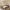 48 Manse Road, Edinburgh, EH12 7SP - Image 7