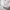 8 Myrtle Terrace, Edinburgh, EH11 1PF - Image 5