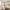 36 Larchfield Neuk, Edinburgh, EH14 7NL - Image 4