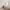 36 Larchfield Neuk, Edinburgh, EH14 7NL - Image 6