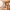 4 Tyler’s Acre Road, Edinburgh, EH12 7HZ - Image 3