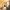 4 Tyler’s Acre Road, Edinburgh, EH12 7HZ - Image 2