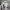 39 Howden Hall Loan, Edinburgh, EH16 6UY - Image 7