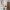 34 Rose Street, Dunfermline, KY12 0RE - Image 7