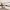 232 Guardwell Crescent, Edinburgh, EH17 7SJ - Image 4