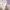 5 Westbank Street, Edinburgh, EH15 1DR - Image 7