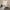 15 Larchwood Square, Edinburgh, EH12 8WT - Image 5