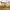 7/10 Ramslack Street, Edinburgh, EH14 5FE - Image 7