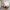 218 Crewe Road North, Edinburgh, EH5 2NS - Image 4