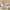 1 John Street, Edinburgh, EH15 2ED - Image 6
