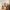 1 John Street, Edinburgh, EH15 2ED - Image 5