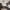 62 MacDermott Avenue, Edinburgh, EH12 0DH - Image 4