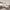 62 MacDermott Avenue, Edinburgh, EH12 0DH - Image 5