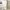 62 MacDermott Avenue, Edinburgh, EH12 0DH - Image 6