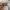 66 Gorton Road, Rosewell, EH24 9BX - Image 5