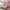 66 Gorton Road, Rosewell, EH24 9BX - Image 7
