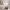 8 Main Street, Newton, EH52 6QF - Image 6