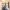 18 Alemoor Park, Edinburgh, EH7 6US - Image 7