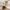1/4 Cruickshank Gardens, Edinburgh, EH12 7AS - Image 7