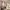 21/9 Oxford Street, Edinburgh, EH8 9PQ - Image 7