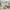 23 McFarlane Crescent, Winchburgh, EH52 6ZU - Image 2