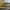 1/7 Wyvern Park, Edinburgh, EH9 2JY - Image 2