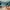 7 Marionville Park, Edinburgh, EH7 6AR - Image 7