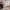 7 Marionville Park, Edinburgh, EH7 6AR - Image 5